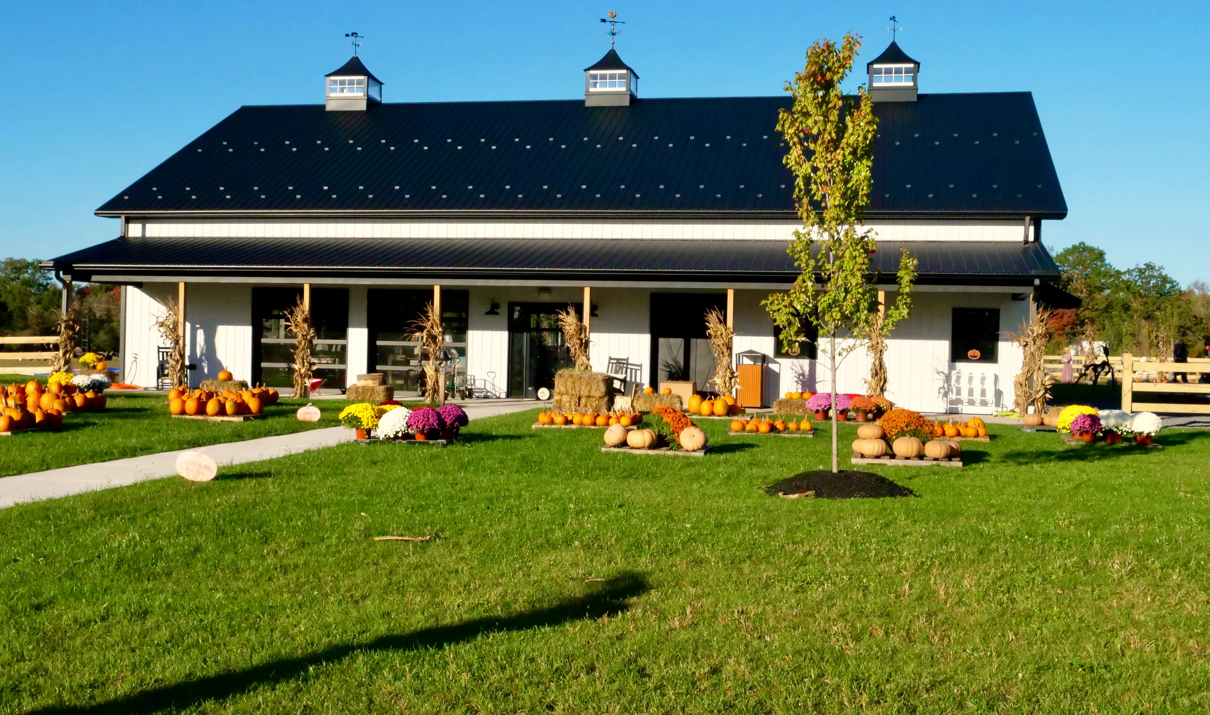Baldwins Creek Farm - Hopewell Township, NJ: farmers market barn with pumpkins and fall mums on the lawn